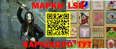 гидропоника Пенза