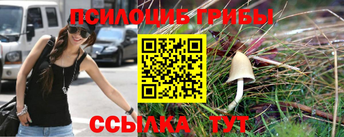 Сосновоборск  Галлюциногенные грибы MAGIC MUSHROOMS  Вход с VPN 